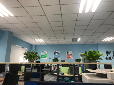 重庆小租网络科技 网络技术服务新锐的崛起之路